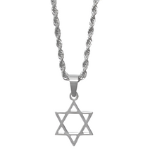 Load image into Gallery viewer, Stainless Steel  14kt Gold Plated Star of David with Chain